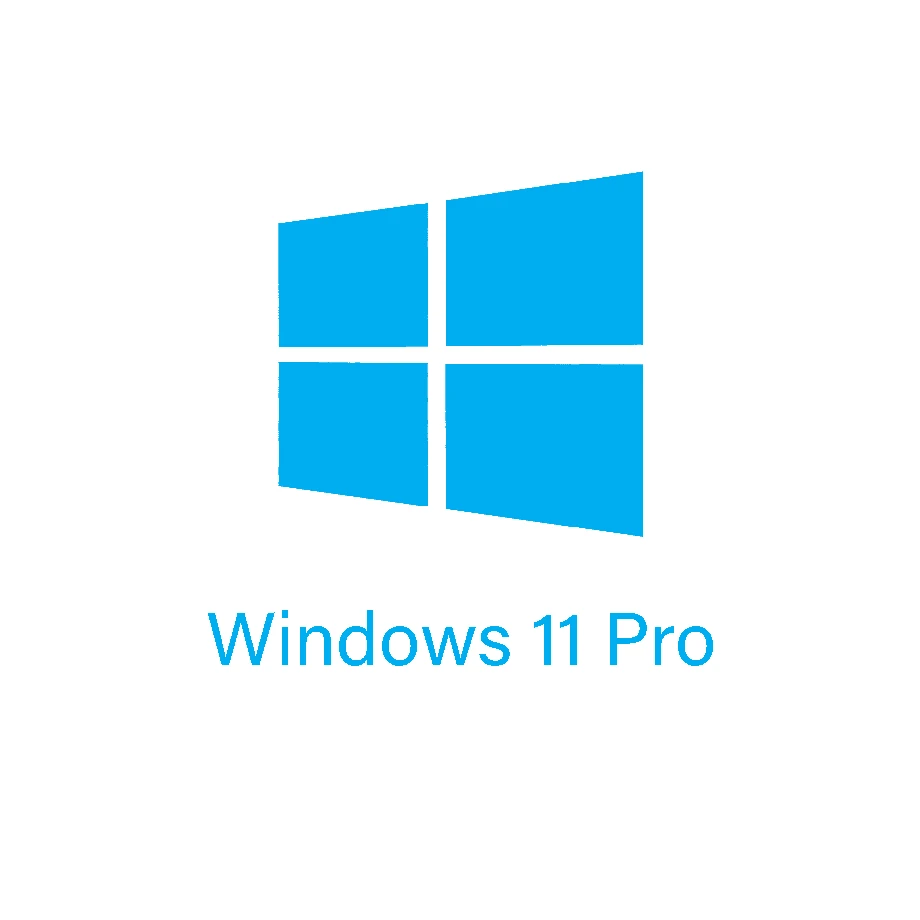 Windows 11 Pro Lisans